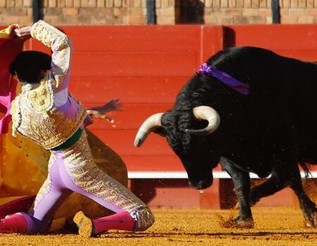 Toros en Sevilla: Marco Pérez y Javier Zulueta, futuro de la FiestaJustificaron su fama como novilleros punteros ante un buen encierro de Talavante