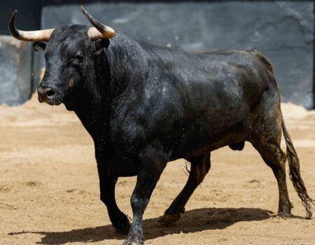 Toros en Sevilla: Serios toros de Victoriano del Río y una tarde hasta con amago de Puerta del PríncipeRoca Rey cortó dos orejas al tercero aunque no pudo con él y falló con la espada en el sexto