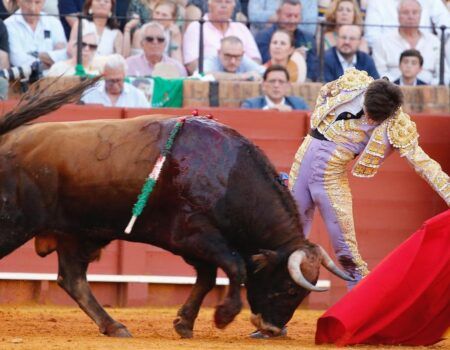 Toros en Sevilla: El ayamontino Carlos Tirado, triunfador del circuito de novilladas de AndalucíaCortó oreja a cada uno de sus toros, aunque destacaron los destellos de clase de Martín Morilla. La final, desde la Maestranza, fue televisada por Canal Sur