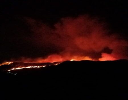 Incendio forestal en fase de emergencia en Lubrín, AlmeríaDesalojo preventivo de cinco personas de las zonas de Los Albaricos y Fuente de los Albaricos