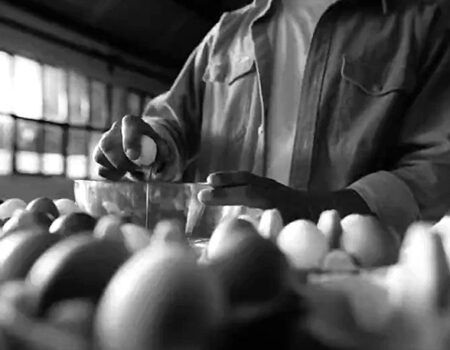 Igualdad lanza la campaña «Por huevos», protagonizada por Paco León