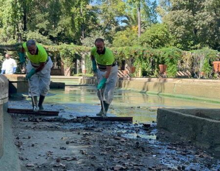 El Ayuntamiento limpia los estanques del Parque de María Luisa y Jardines del Cristina