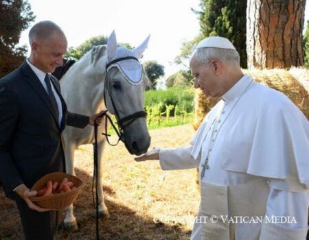 El caballo de Pura Raza Española, elegido para representar a la especie equina en el Vaticano