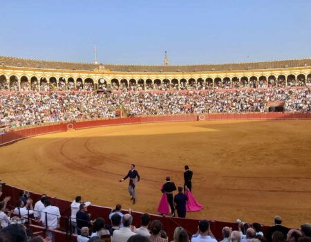 Tarde de toros solidaria