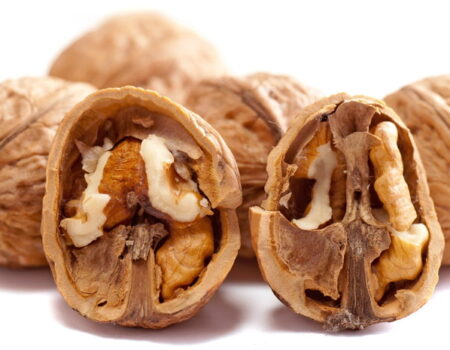 Las nueces, que no falten en tu dieta