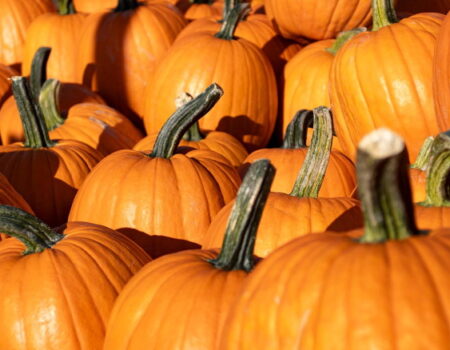 Que te den calabazas, que son muy sanas