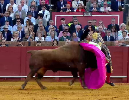 Morante de la Puebla pasa la noche en la UCI tras la grave cornada sufrida en la Maestranza de Sevilla
